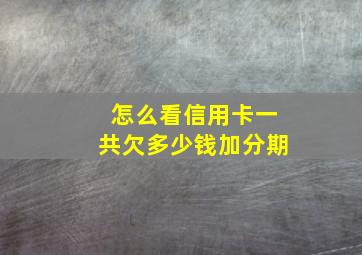 怎么看信用卡一共欠多少钱加分期