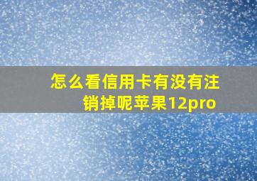 怎么看信用卡有没有注销掉呢苹果12pro