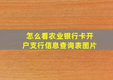 怎么看农业银行卡开户支行信息查询表图片