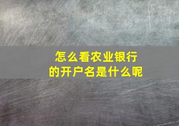 怎么看农业银行的开户名是什么呢