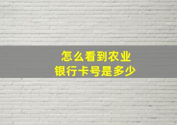 怎么看到农业银行卡号是多少