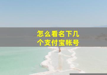 怎么看名下几个支付宝帐号