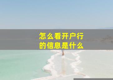 怎么看开户行的信息是什么