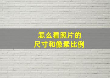 怎么看照片的尺寸和像素比例