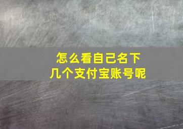 怎么看自己名下几个支付宝账号呢