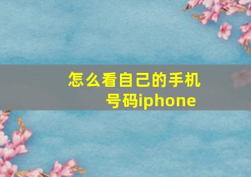 怎么看自己的手机号码iphone