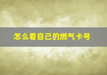 怎么看自己的燃气卡号