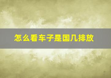 怎么看车子是国几排放