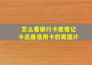 怎么看银行卡是借记卡还是信用卡的呢图片