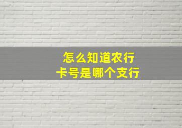 怎么知道农行卡号是哪个支行