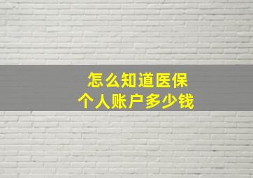 怎么知道医保个人账户多少钱