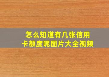 怎么知道有几张信用卡额度呢图片大全视频