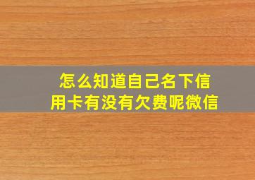 怎么知道自己名下信用卡有没有欠费呢微信