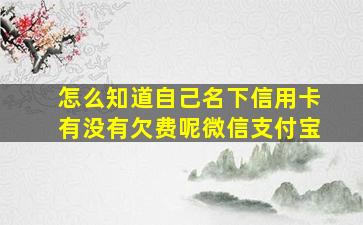 怎么知道自己名下信用卡有没有欠费呢微信支付宝