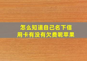 怎么知道自己名下信用卡有没有欠费呢苹果