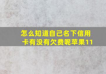 怎么知道自己名下信用卡有没有欠费呢苹果11