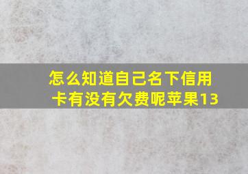 怎么知道自己名下信用卡有没有欠费呢苹果13