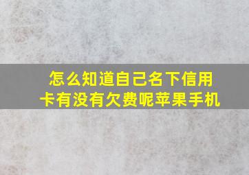 怎么知道自己名下信用卡有没有欠费呢苹果手机