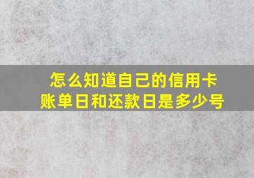 怎么知道自己的信用卡账单日和还款日是多少号