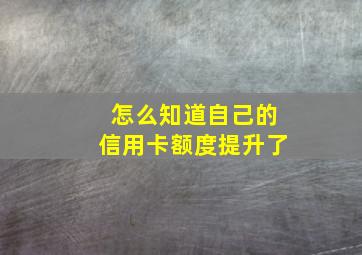 怎么知道自己的信用卡额度提升了