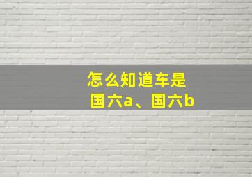 怎么知道车是国六a、国六b