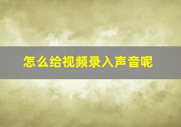 怎么给视频录入声音呢