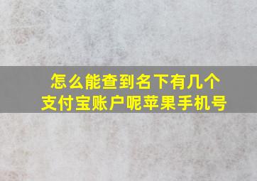 怎么能查到名下有几个支付宝账户呢苹果手机号