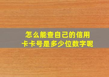 怎么能查自己的信用卡卡号是多少位数字呢