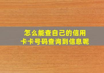 怎么能查自己的信用卡卡号码查询到信息呢