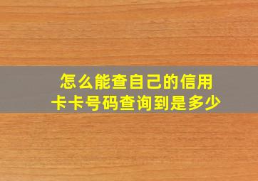 怎么能查自己的信用卡卡号码查询到是多少