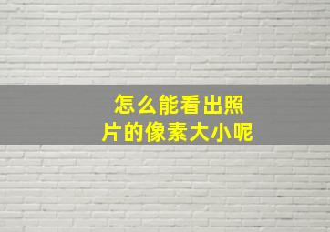 怎么能看出照片的像素大小呢