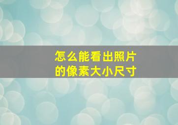 怎么能看出照片的像素大小尺寸