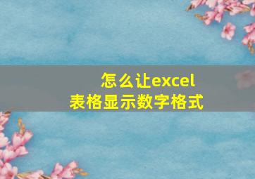 怎么让excel表格显示数字格式