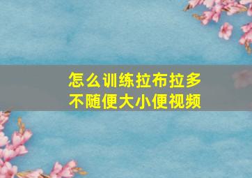 怎么训练拉布拉多不随便大小便视频