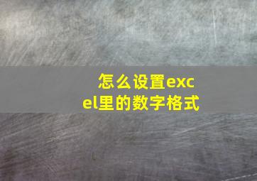 怎么设置excel里的数字格式