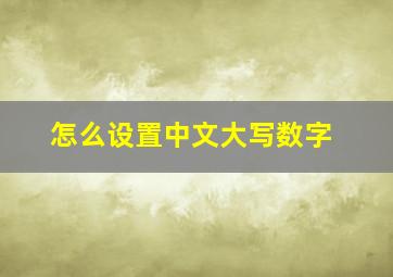 怎么设置中文大写数字