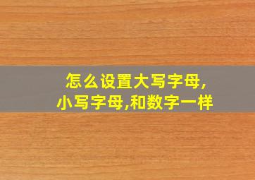 怎么设置大写字母,小写字母,和数字一样