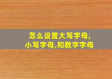 怎么设置大写字母,小写字母,和数字字母