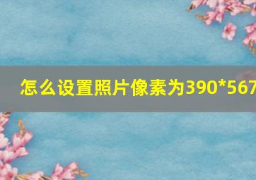 怎么设置照片像素为390*567