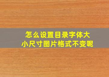 怎么设置目录字体大小尺寸图片格式不变呢