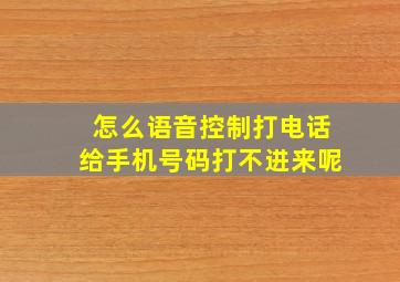 怎么语音控制打电话给手机号码打不进来呢