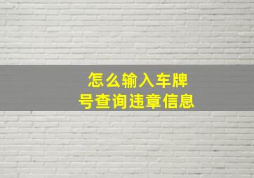 怎么输入车牌号查询违章信息