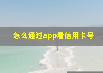 怎么通过app看信用卡号