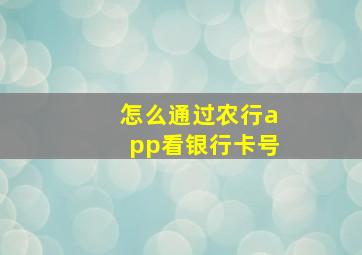 怎么通过农行app看银行卡号