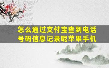 怎么通过支付宝查到电话号码信息记录呢苹果手机