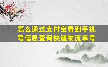 怎么通过支付宝看到手机号信息查询快递物流单号