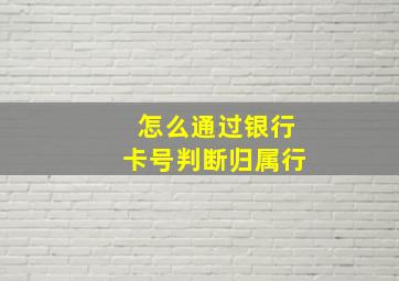 怎么通过银行卡号判断归属行