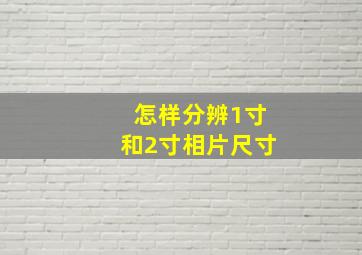 怎样分辨1寸和2寸相片尺寸