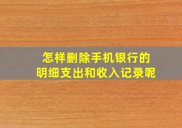 怎样删除手机银行的明细支出和收入记录呢