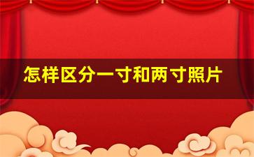 怎样区分一寸和两寸照片